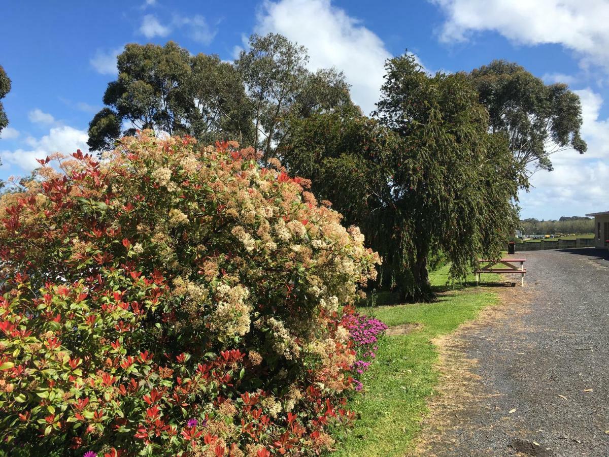 מאונט גמבייר Limestone Coast Tourist Park מראה חיצוני תמונה